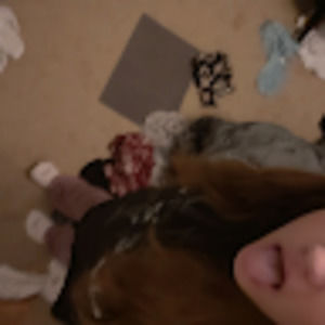 Meet your Posher, My